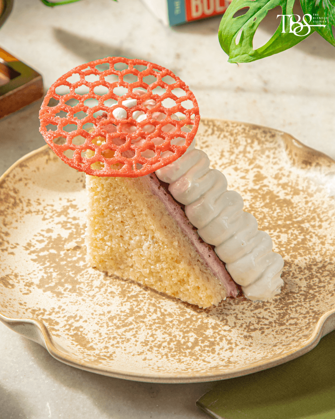 Paashh - Raspberry Swirl Cheesecake.