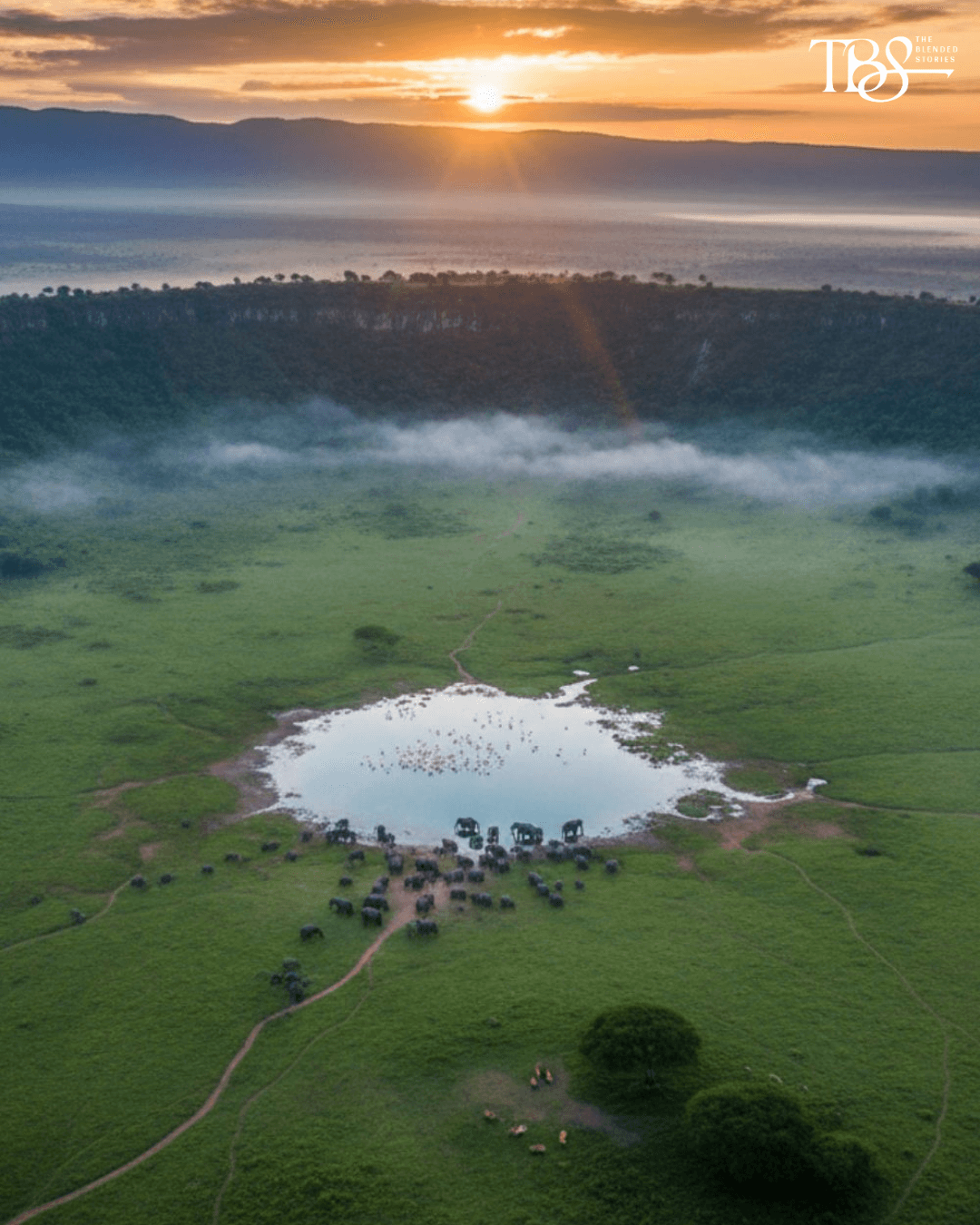 Ngorongoro Crater