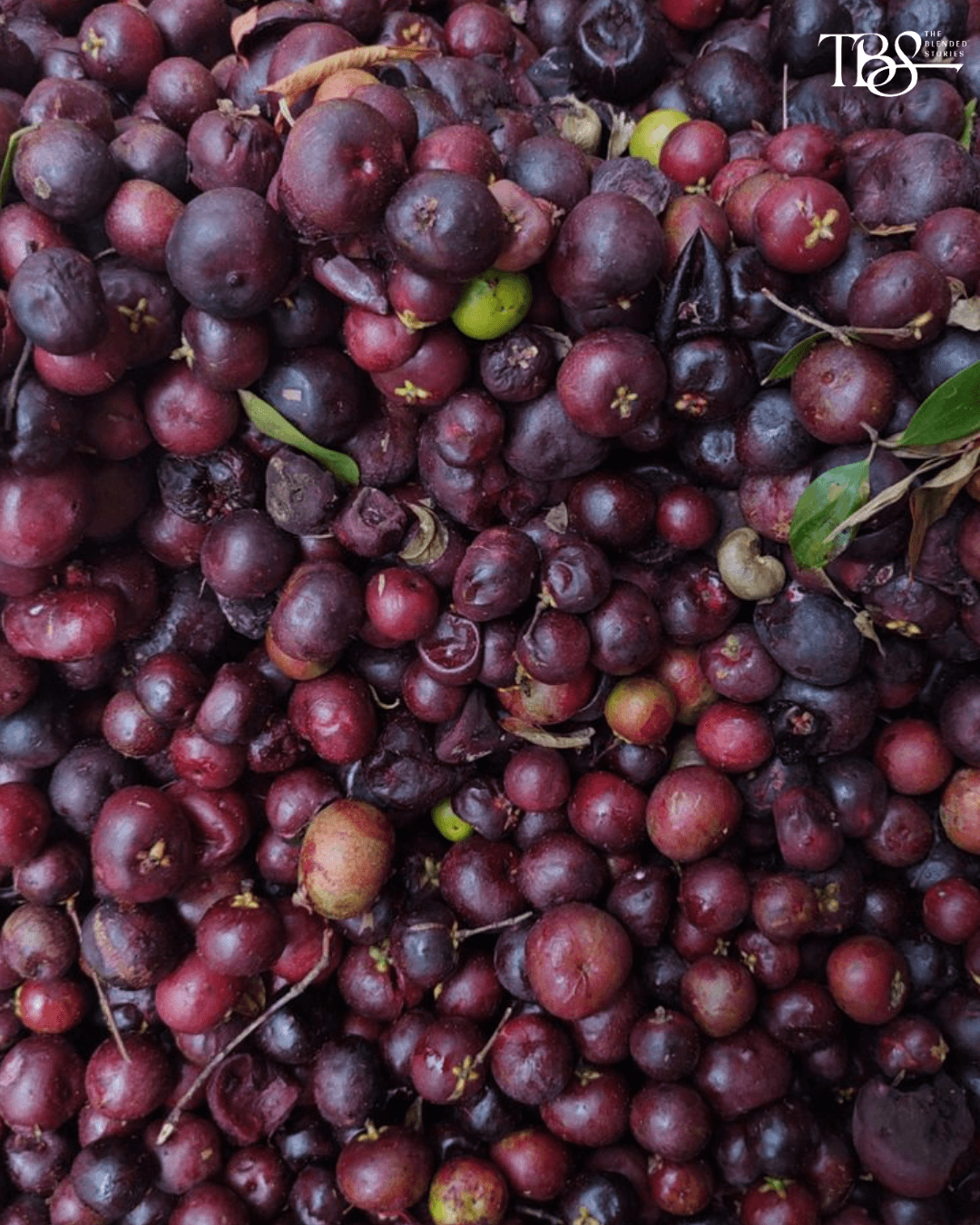 Kokum - A coastal staple finding new life beyond the summer cooler.