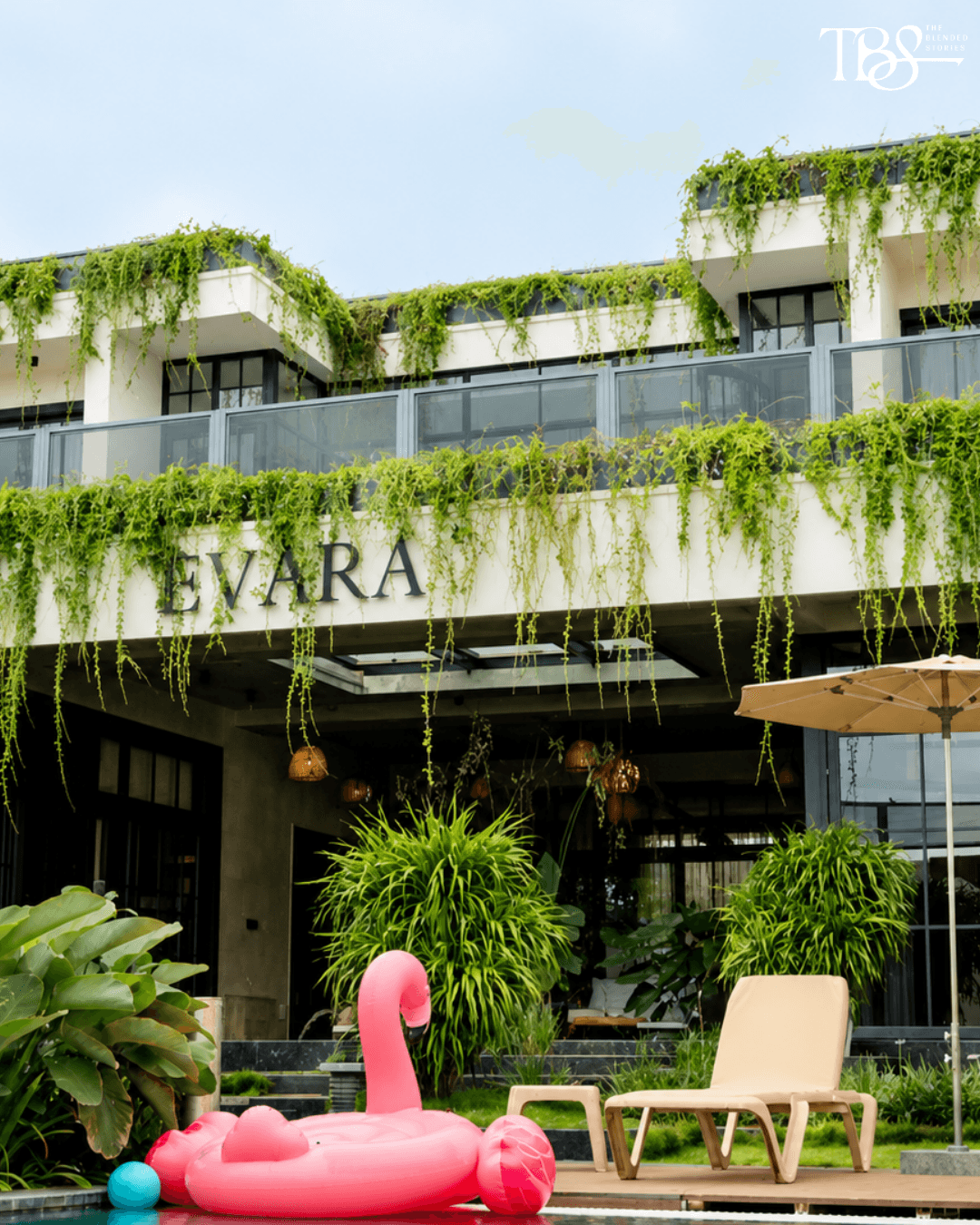 EVARA BY AURAA